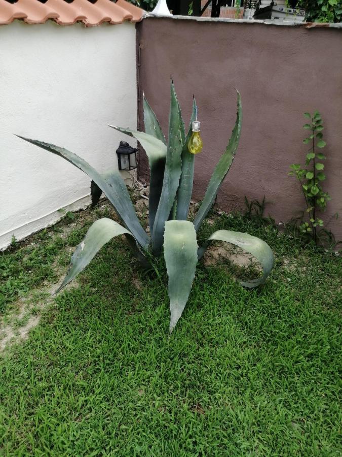 Ο Ακλόνητος Nea Mesangala Exterior foto